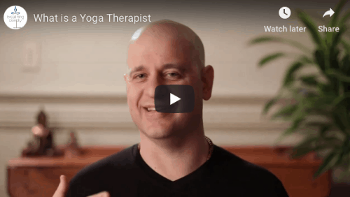 A video of Brandt talking about what is a Yoga Therapist