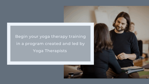 Begin Your Yoga Teacher Training Led By Yoga Therapists​